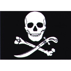 Piraten vlag 20x30